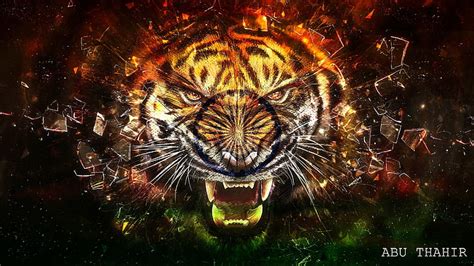 HD wallpaper: indian, tiger | Wallpaper Flare