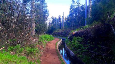 Serra De Gua Valley Levada Promenad Getyourguide