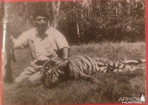 Bangladesh Hunting Royal Bengal Tiger | AfricaHunting.com