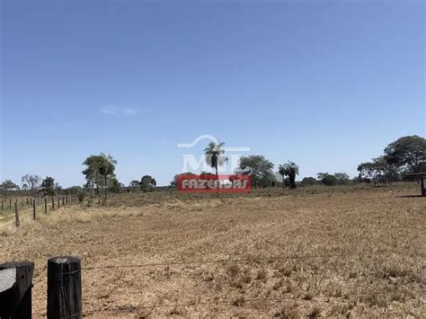 Fazenda Em Nova Crixas Go De Alqueires Terrenos S Tios E