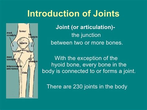 Joints Powerpoint