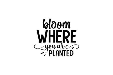 Premium Vector Bloom Where You Are Planted