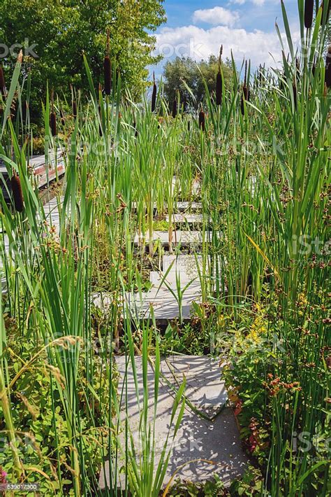 Beautiful Garden Idea In Model Gardens Appeltern Nederland Stock Photo