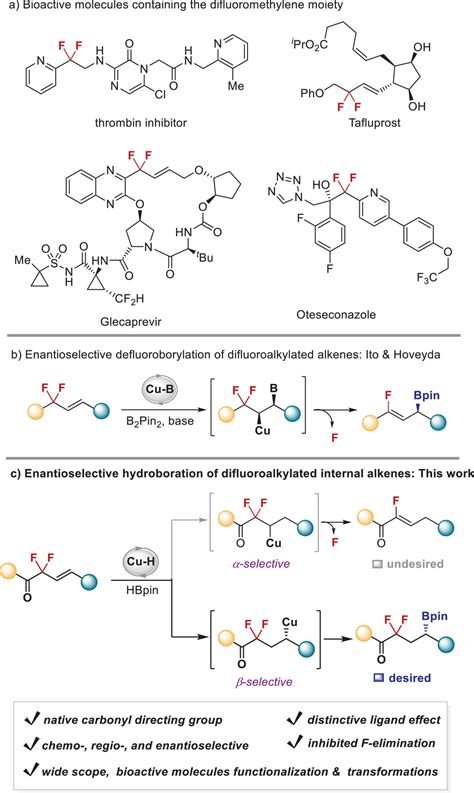 Coppercatalyzed Regio And Enantioselective Hydroboration Of