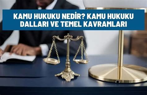 Kamu Hukuku Nedir Kamu Hukuku Dalları ve Temel Kavramları Türkiye