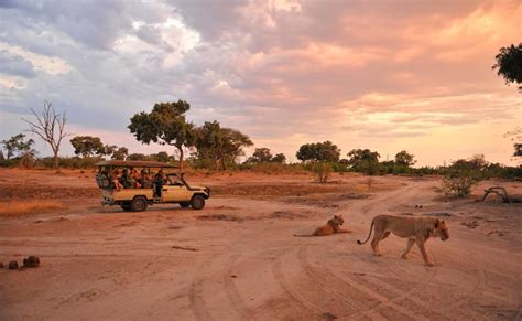 Individuelle Simbabwe Rundreise Safari Pur Genuss Touren