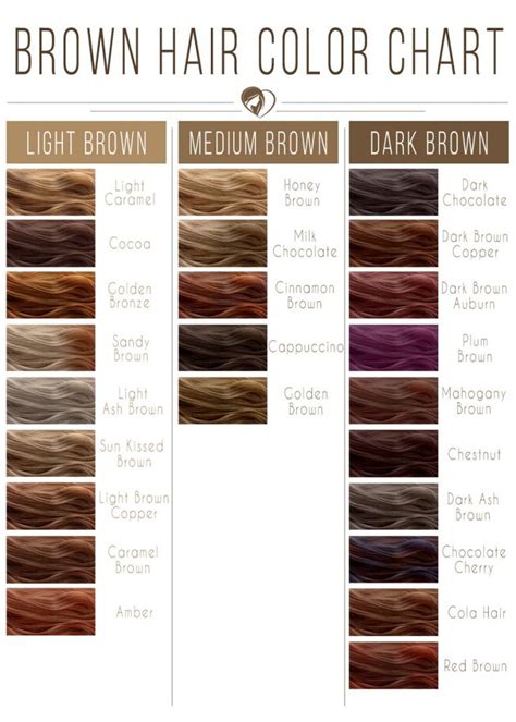 Brown Hair Color Chart Highlights