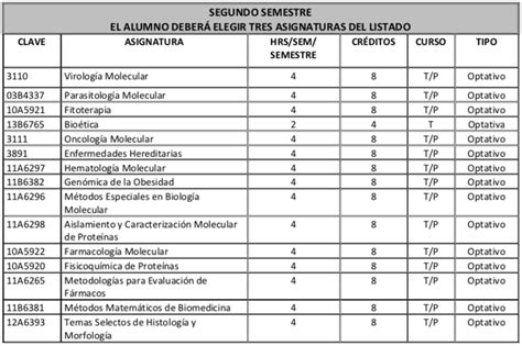 Plan De Estudios En La Maestr A En Cbm Sepi Enmh