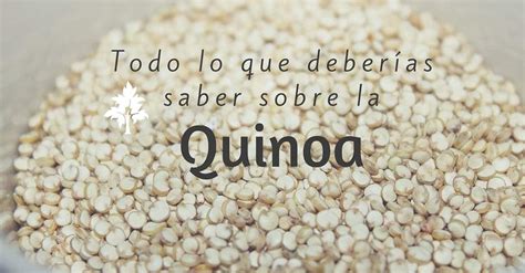 Todo Lo Que Deberías Saber Sobre La Quinoa Propiedades Y Beneficios