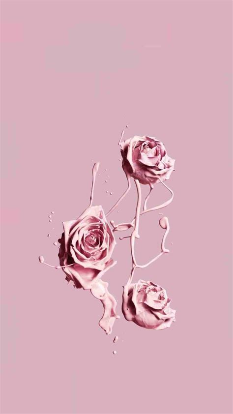 Rose Aesthetic Wallpapers - Wallpaper Cave