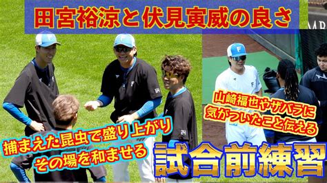 【20240629】試合前練習。昆虫大好き田宮裕涼と先発陣が盛り上がるシーンや前日バッテリーを組んだ投手（山崎福也など一部）と