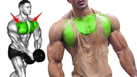 How To Grow Chest Muscle Fast How Long To Build Chest Muscles How