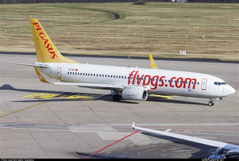 Pegasus Airlines Boeing Ng Max Tc Izi Photo Airfleets