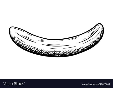 Hand Drawn Bananas Sketch Royalty Free Vector Image