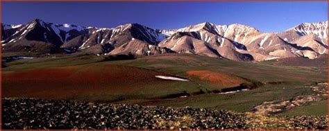 Hunt Caribou At Kavik River Campbucket List River Camp Alaska