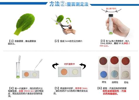 水果蔬菜农药残留标检测方法 仪器仪表交易网