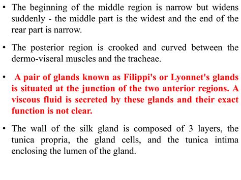 Summaries Ofs Chapter By Chapter 4