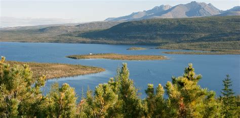 Taiga - Mrs. Grondin Major Biomes of the World