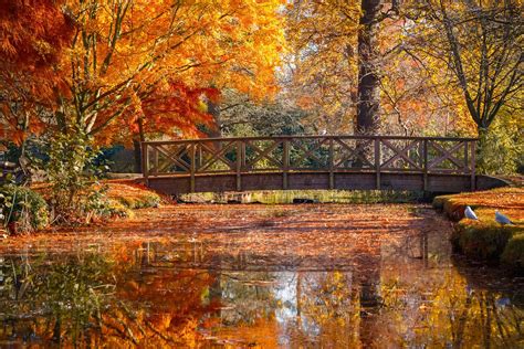 The best places to see Autumn leaves in the UK | CN Traveller