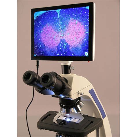 AmScope 40X-2500X Infinity Plan Laboratory Compound Microscope with LC ...