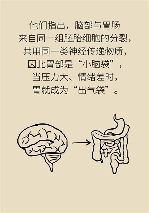 “气得胃疼”是真的？原来胃还是个情绪器官 黄鹤楼动漫官方网站