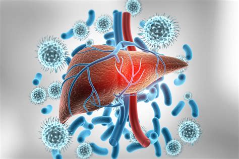 Hepatitis Wirkmechanismus Von Bulevirtide Entschl Sselt Kompakt