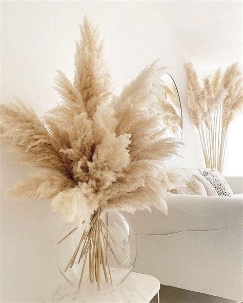 Pampas grass – Artofit