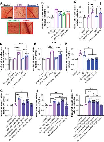 Tuning Recombinant Perlecan Domain V To Regulate Angiogenic Growth