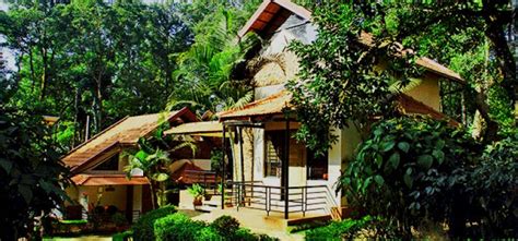 Top Homeystays In Coorg Best Homestays In Coorg