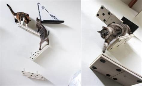 Catastrophic Creations Wall Mounted Cat Furniture For Notorious Felines