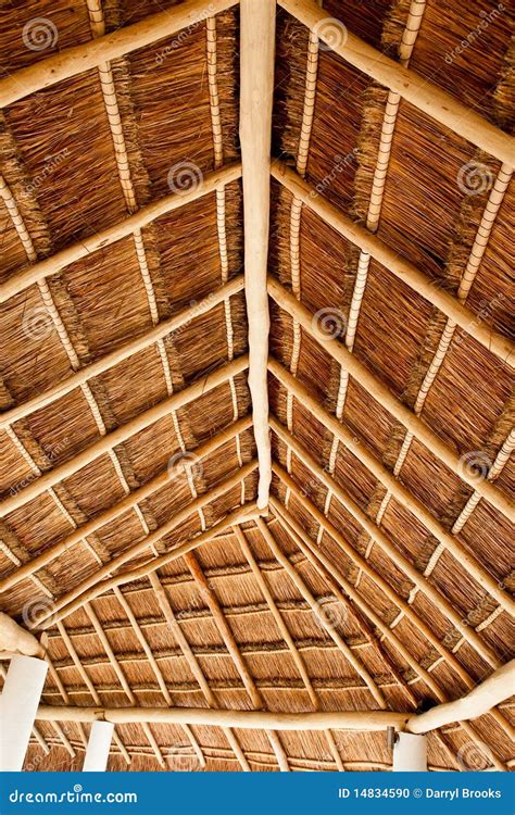 long thatched roof stock photo image  tropical straw