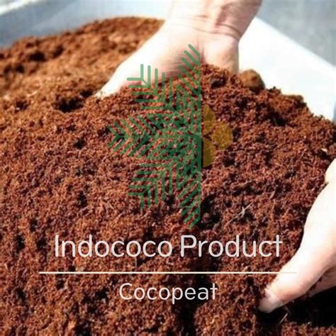 Coconut Coir Plants Unlocking The Potential Of Coconut Coir Plants