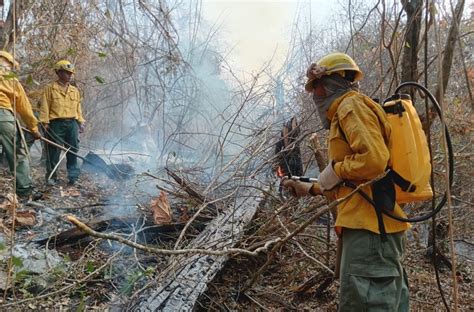 Abt Suma 54 Procesos Iniciados Por Incendios Forestales En Santa Cruz Y