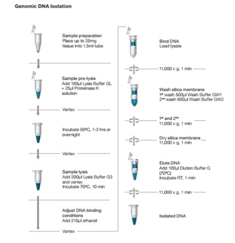 Isolate Ii Genomic Dna Kit