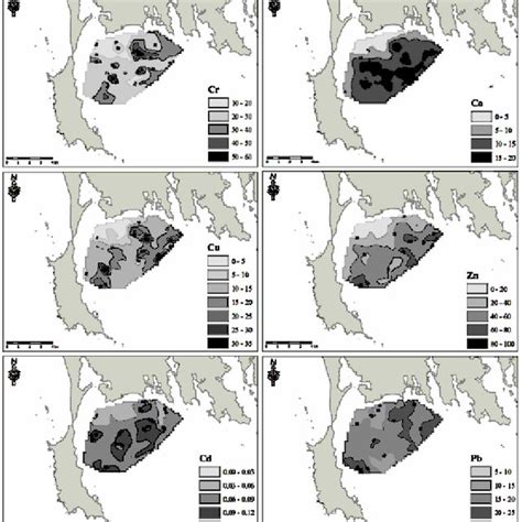 Heavy Metal Distribution In μgg Dry Weight In Quiberon Bay