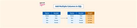 How To Add Multiple Columns In Sql Scaler Topics