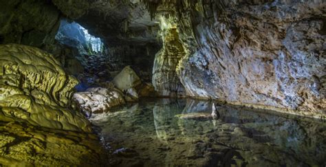 Reserva De La BiÓsfera El Cielo El ParaÍso En Tamaulipas National