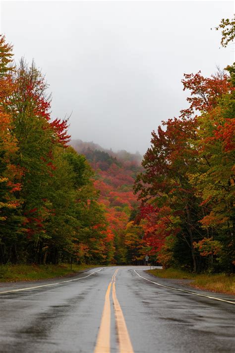 The Best 5 Day New England Fall Road Trip By A Local — Nichole The Nomad