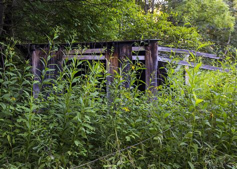 Hidden Shed Photograph By Tim Fitzwater Fine Art America