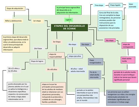 Mapa Conceptual Teoria Schaie Niñez Y Adolescencia Etapa De Adquisición Cerca Del Final De La