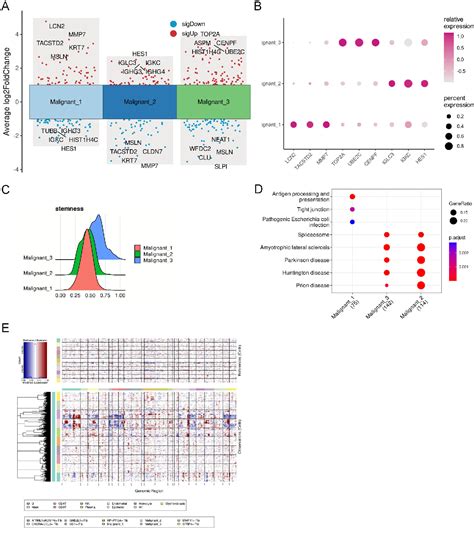 Figure 1 From Comprehensive Single Cell Analysis Reveals Heterogeneity