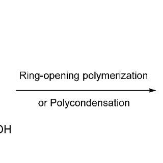 Synthesis Of Poly Caprolactone Through Rop Or Polycondensation