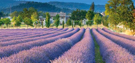 Luxury France Holidays | Holidays to France 2025 | Simpson Travel