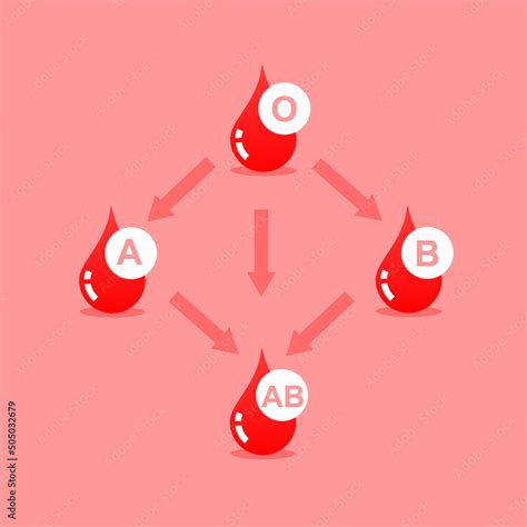 Blood Types Compatibility Table Abo Blood Group A B Ab O