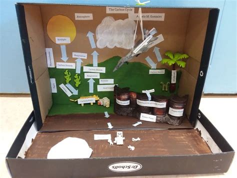 Carbon Cycle Project Covers Ngss Ms Ls1 6 And Ms Ls2 3 Ecosystems