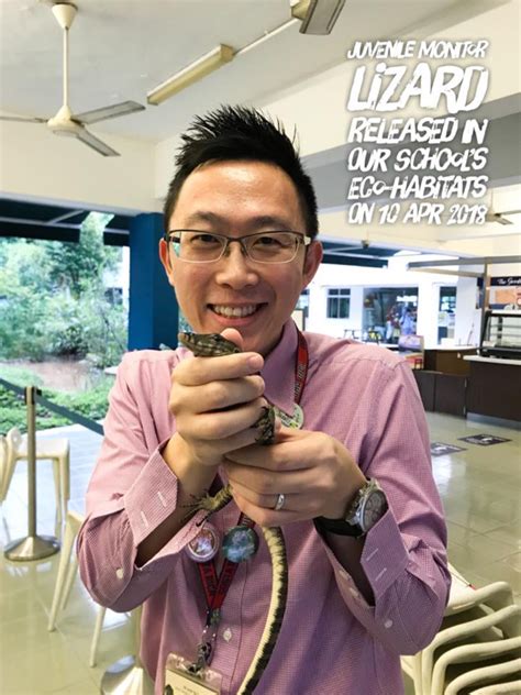 Malayan Monitor Lizard Released Into The School S Eco Wetland Bird