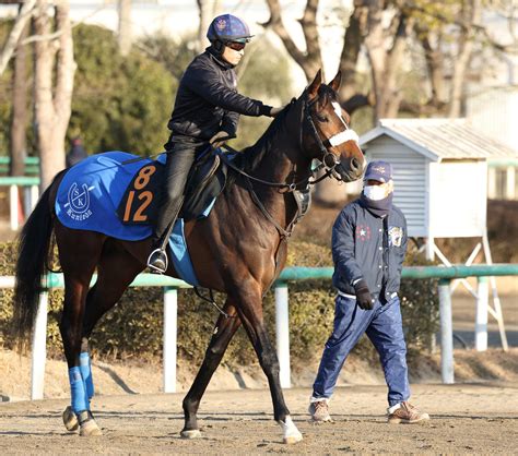 ダノンザタイガー3頭併せで最先着、川田騎手は素質評価もさらなる成長待つ／共同通信杯 3歳馬特集 競馬写真ニュース 日刊スポーツ