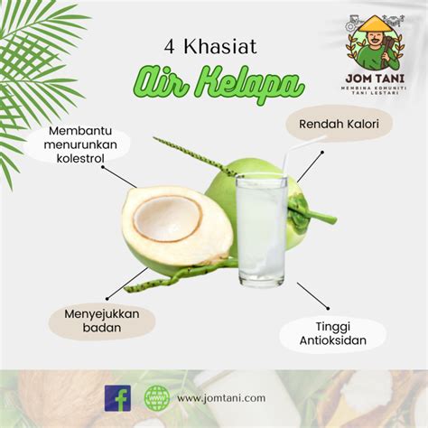 Kebaikan Tanaman Kelapa Jom Tani