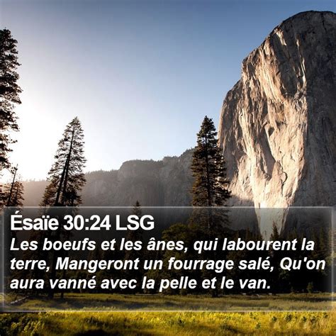 Ésaïe 30 24 LSG Les boeufs et les ânes qui labourent la terre