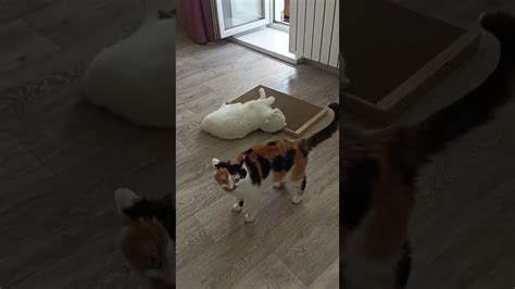 Чур, по очереди!😄 - YouTube